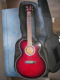 Semi Acoustic Guitar 