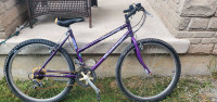 Raleigh Discovery Bike