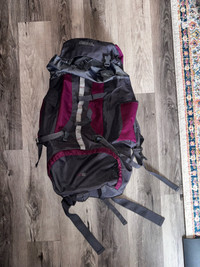 Backpacking bag 65L