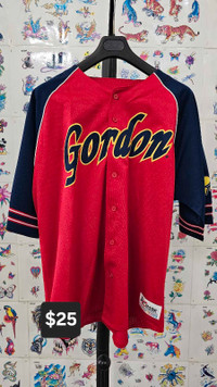 Vintage Jeff Gordon baseball jersey XL