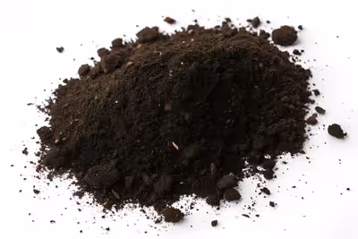 WWW.EARTHACTIVE.CA Worm castings are one of the best natural fertilizers around. Red wigglers produc...