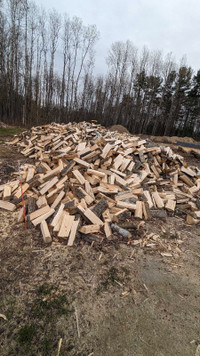 Firewood campfire wood