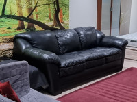 Leather 3 seater sofa and love seat from The bricks