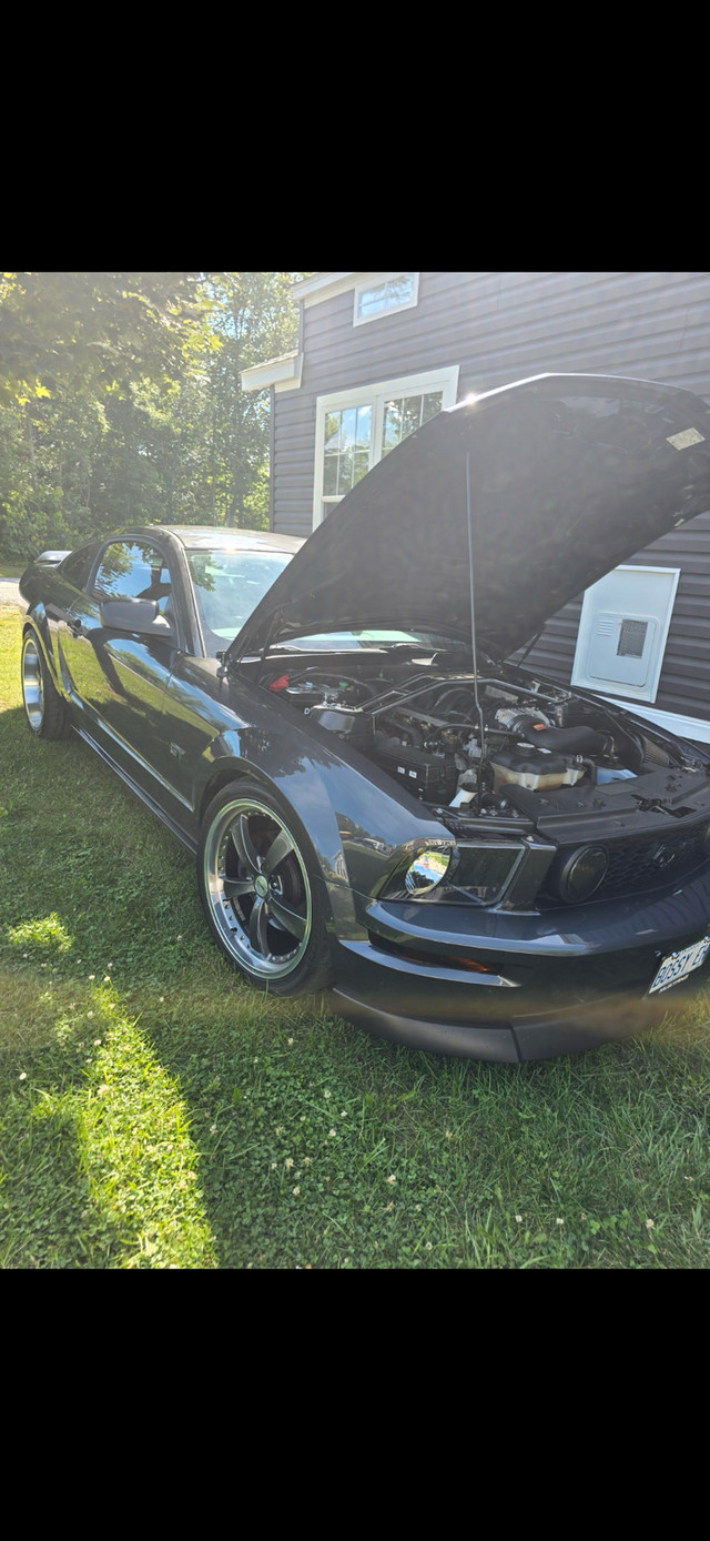 2007 mustang gt in Cars & Trucks in Grand Bend - Image 4