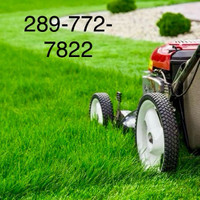 Grass-cut and weed control 289-772-7822