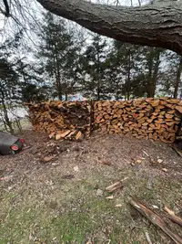 Firewood For Sale (Hardwood)