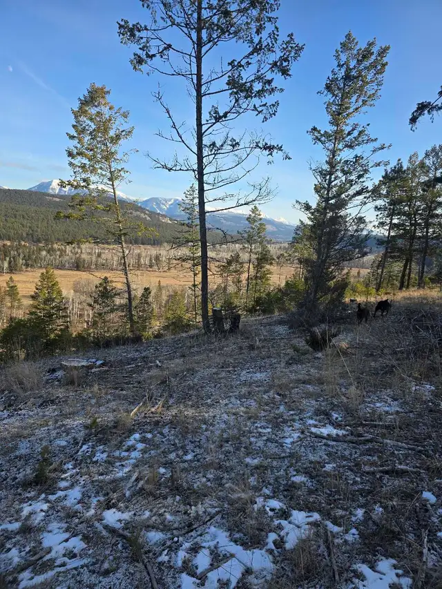 281-Acre Riverfront Property | Mountain Views | Kootenay in Land for Sale in Cranbrook - Image 5