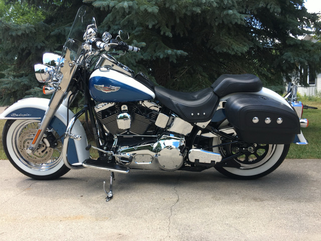 Harley Davidson  in Street, Cruisers & Choppers in Winnipeg - Image 3