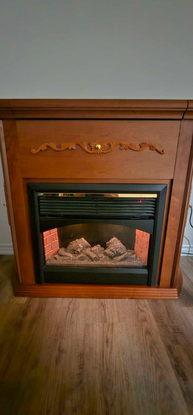 Electric Fireplace with Fire/Wood log sound 750/1500 Watt in Fireplace & Firewood in Mississauga / Peel Region - Image 2