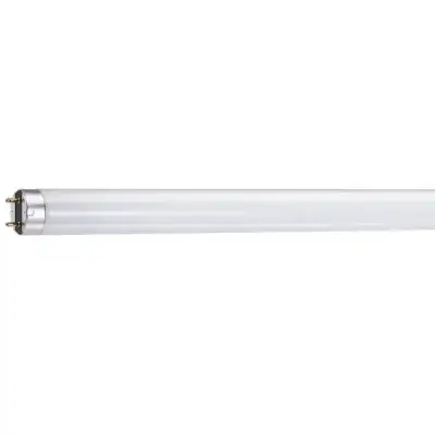 FLUORESCENT LIGHT BULBS 2 PIN, View more