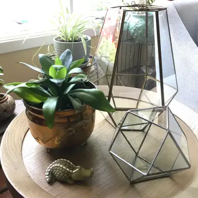 2 Glass Terrariums Small is Leaded $15 each, View more