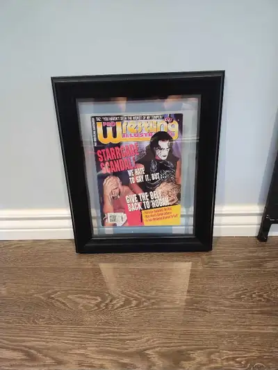 WWE/WCW Memorabilia , View more
