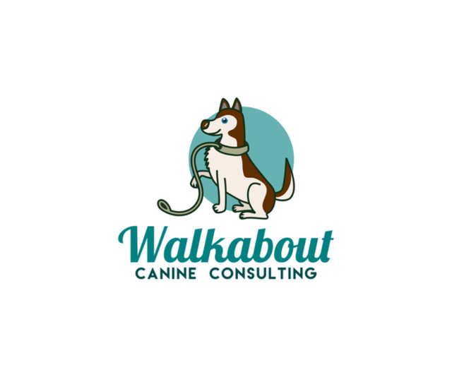 Dog Trainer, Canine Consulting in Animal & Pet Services in Leamington