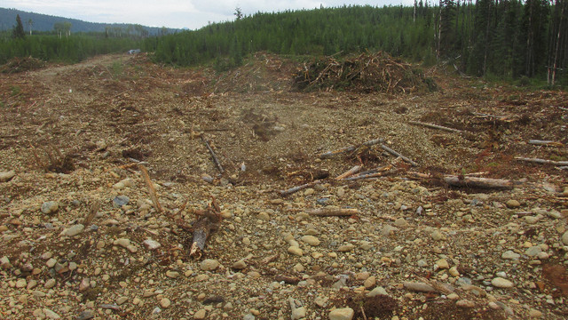 Summit Creek Gold Claims Near Barkerville in Other in Quesnel - Image 4