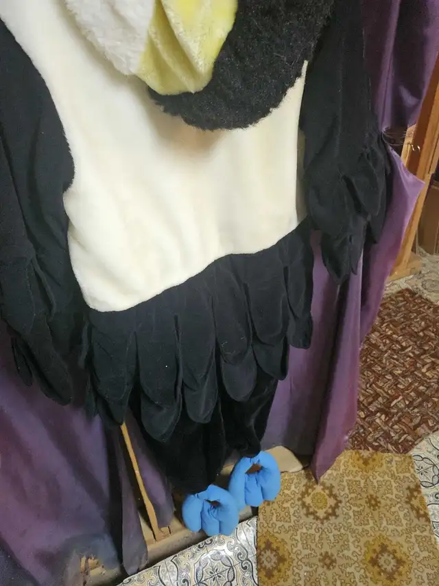 Costume Pingouin pour enfant 6-7 ans in Costumes in Sherbrooke - Image 7