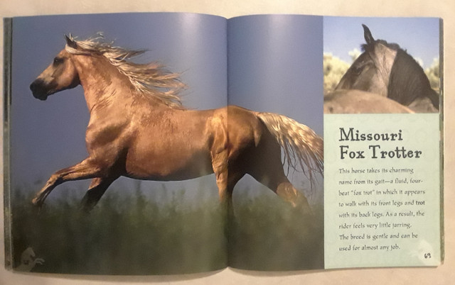 I love horses and ponies book in Other in Kingston - Image 2