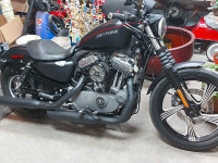Harley davidson XL 1200 sportster 
