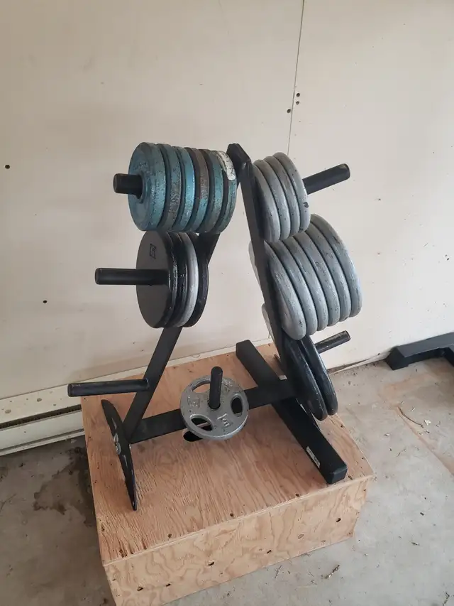 Weight Lifting Equipment in Exercise Equipment in Nelson - Image 3