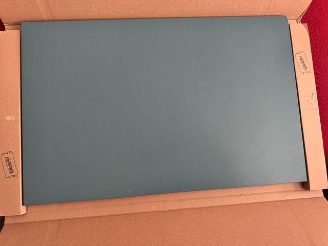 Ikea Besta Cabinet Doors (2x) in Hutches & Display Cabinets in Kelowna - Image 2