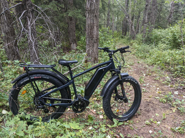 E-Bike Rentals in eBike in Calgary - Image 4