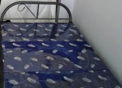 Pemberly Foldable Bed buy and get free cookware, View more