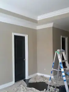 Troy the Painter65561283522946123