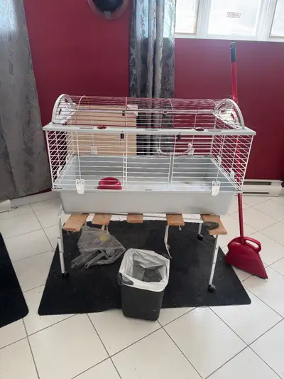 Small Animal Cages & Accessories , Bedding etc., View more
