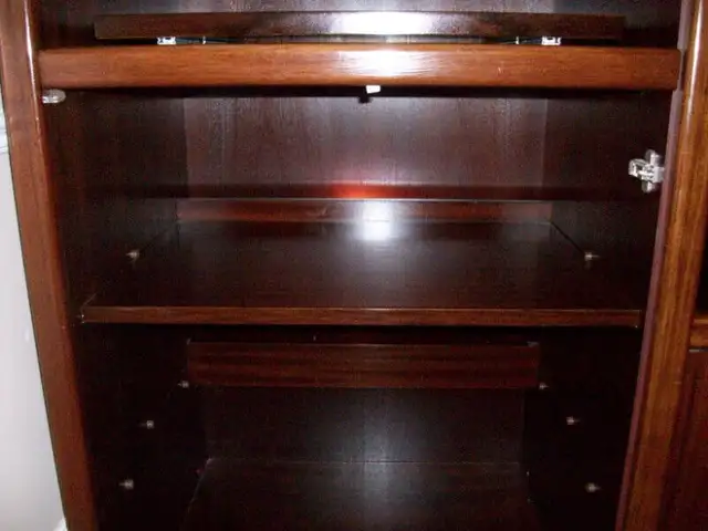 Beautiful Rosewood Wall/Entertainment Unit in TV Tables & Entertainment Units in Markham / York Region - Image 10