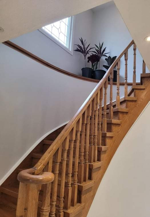 1 Room for Rent in Etobicoke ( male only) Room Rentals & Roommates