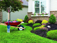 Landscaping, Gardening, Lawncare, and MORE!