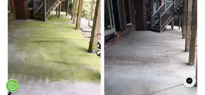 Green Algae R e m o v a l,  F R E E. Q u o t e s, View more