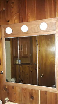 Mirror Medicine Cabinet & Light Fixture Combo