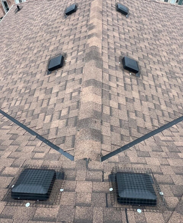 DAMAGED / MISSING SHINGLES - ROOF MAINTENANCE & REPAIRS in Roofing in Mississauga / Peel Region - Image 2