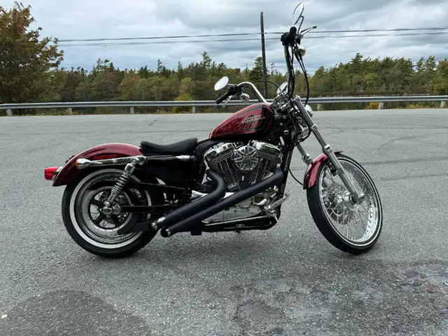 2008 Sporster 72, 1200cc in Street, Cruisers & Choppers in Bedford - Image 2