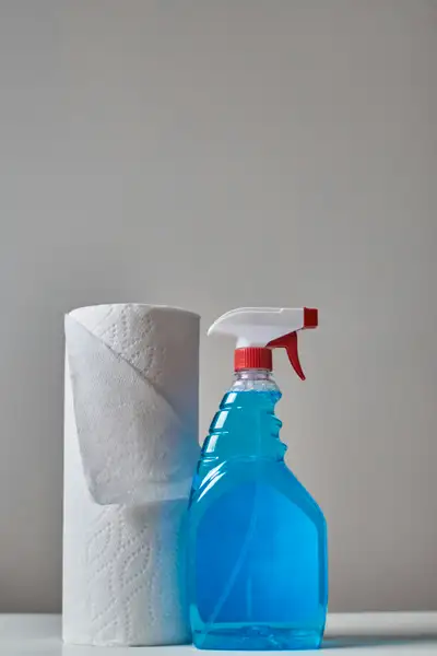Experienced Cleaning /Organizing Lady is available 2 Help_$20 hr, View more