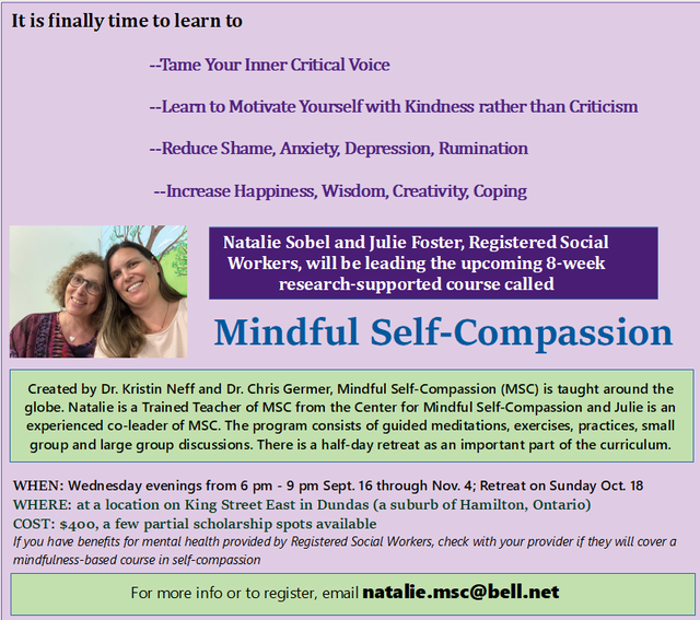 Mindfulness and Self-Compassion Course553392892816936966