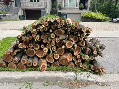 Free Firewood, View more