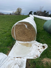 Silage bale 