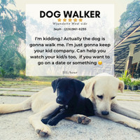 Dog walker/ pet nanny