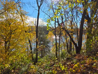 Early 40s gentleman looking for a local female friend, View more