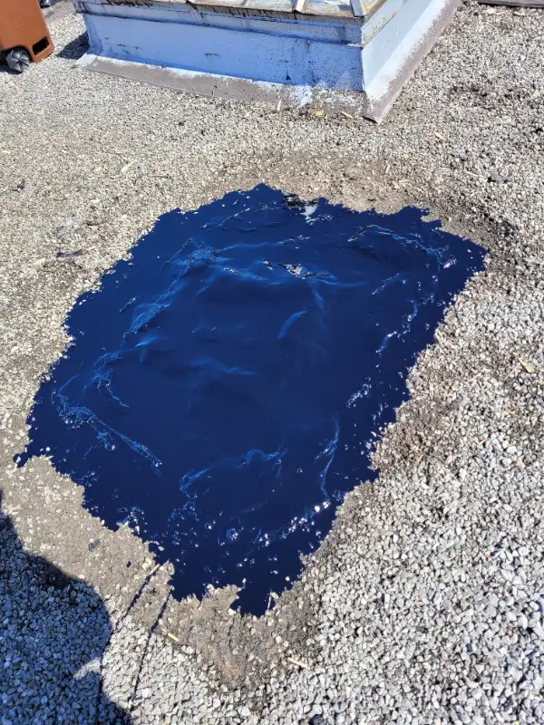 ROOF REPAIR  LEAK ROOFER COVER LEAK62864356113922124