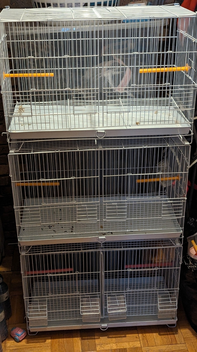 Breeding cages or cage .$80 each cage | Accessories | City of Toronto |  Kijiji