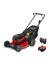 Toro 21" Recycler 60V Max w/SmartStow Push Lawn Mower