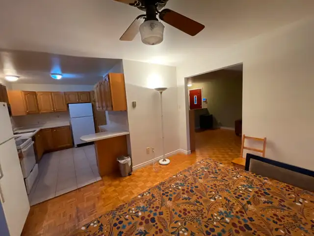 2 rooms for rent / immediately62863776232834124