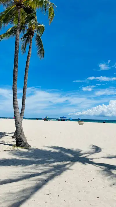 Condo à louer en Floride, à 7 minutes de la plage, View more
