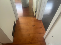 Flooring guy for hire!
