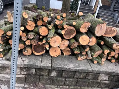 free firewood Norway maple wood nicely cut! see pics!, View more