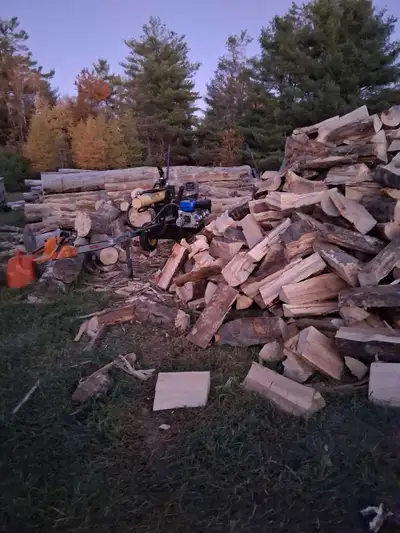 Need to get your firewood logs cut and split well we are here to help Offering to come with all the...