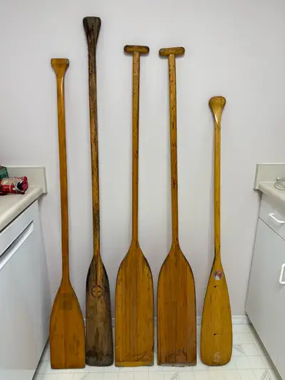 Lot sale, $150 cash for all 5. Saskatoon.