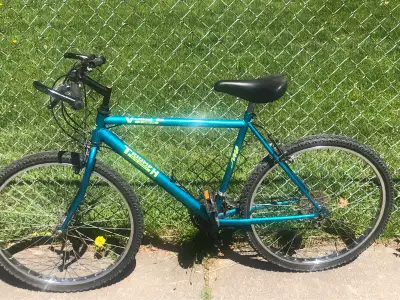 Vintage Triumph MTB bike, View more